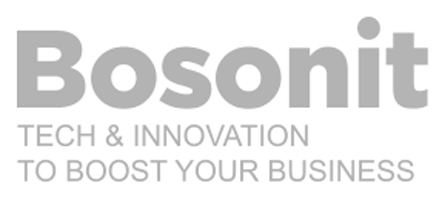 Bosonit